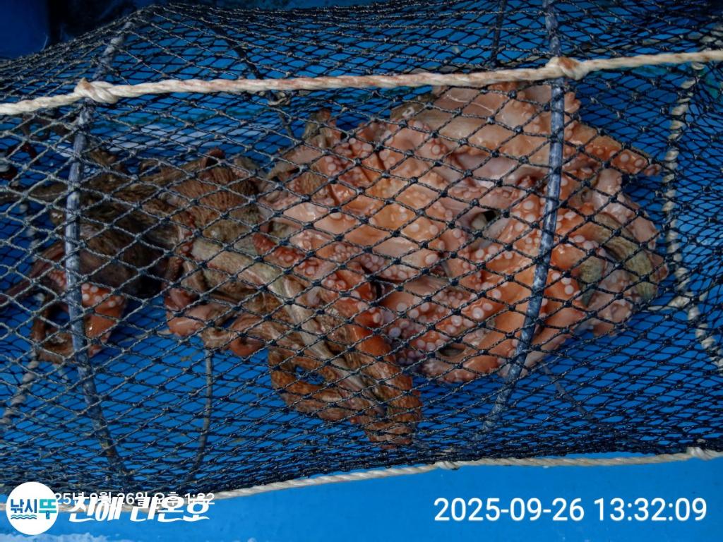 F278407329.jpg