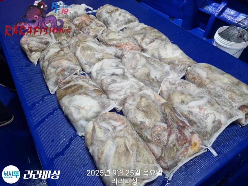 F2784076JX.jpg