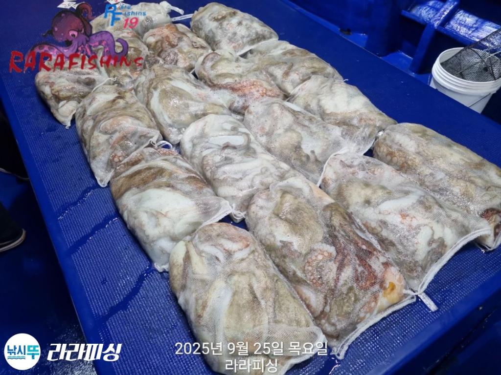 F278407772.jpg