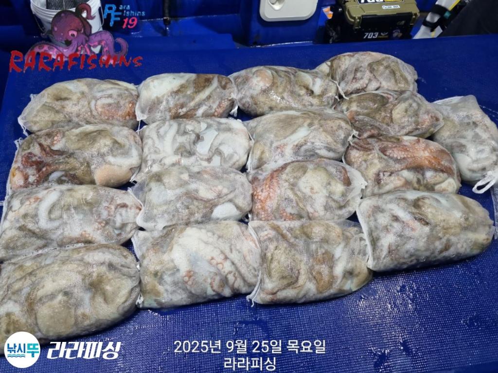 F2784079CN.jpg