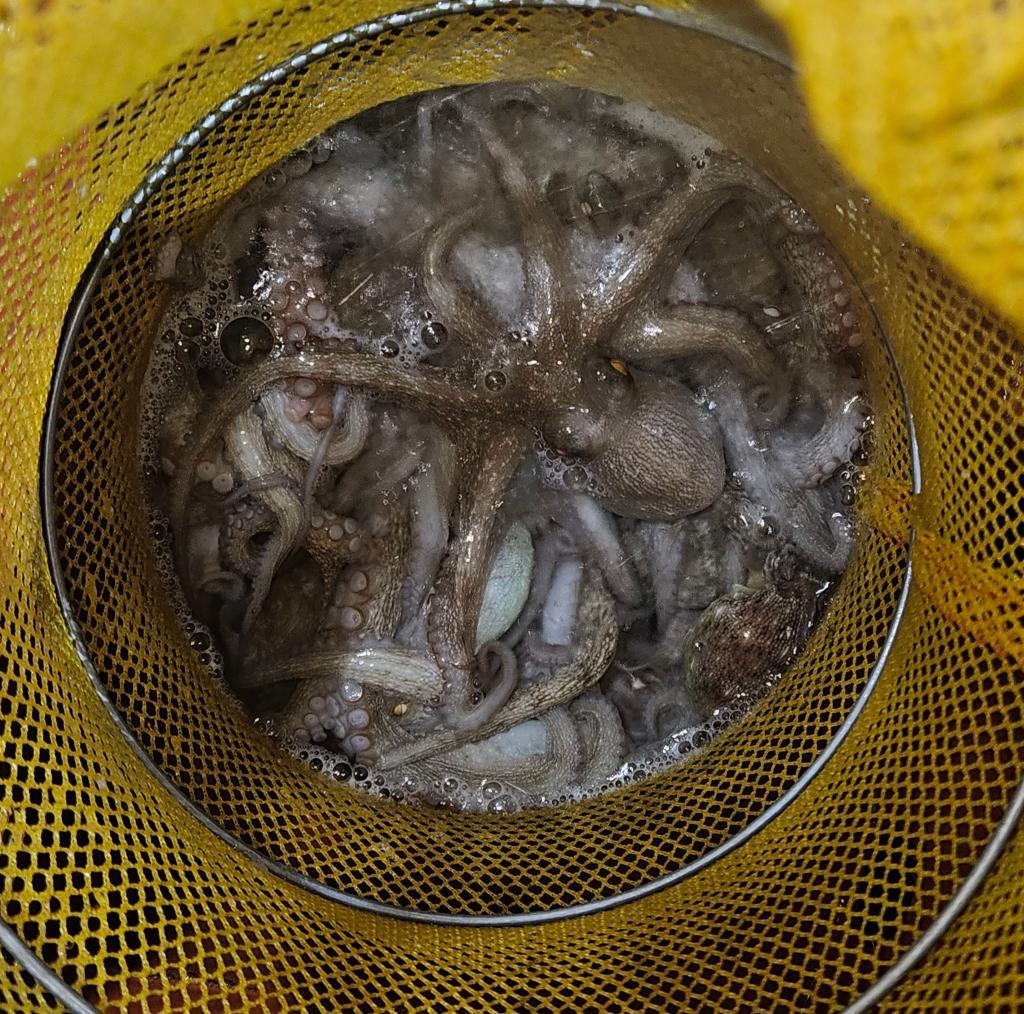 F27841739E.jpg