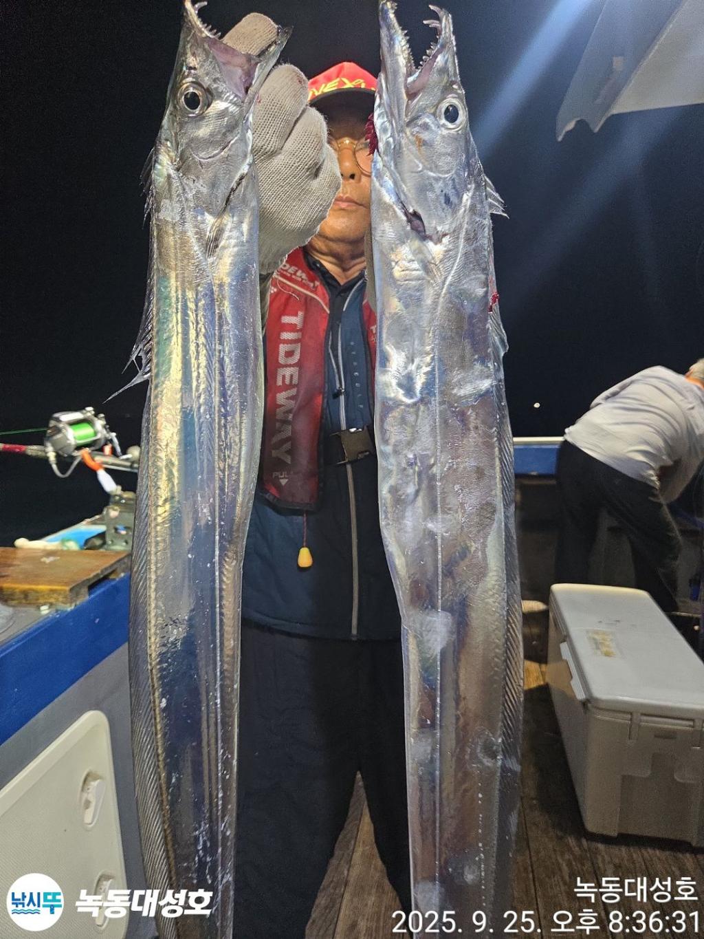 낚시뚜,갈치,녹동항,녹동대성호,낚시뚜13
