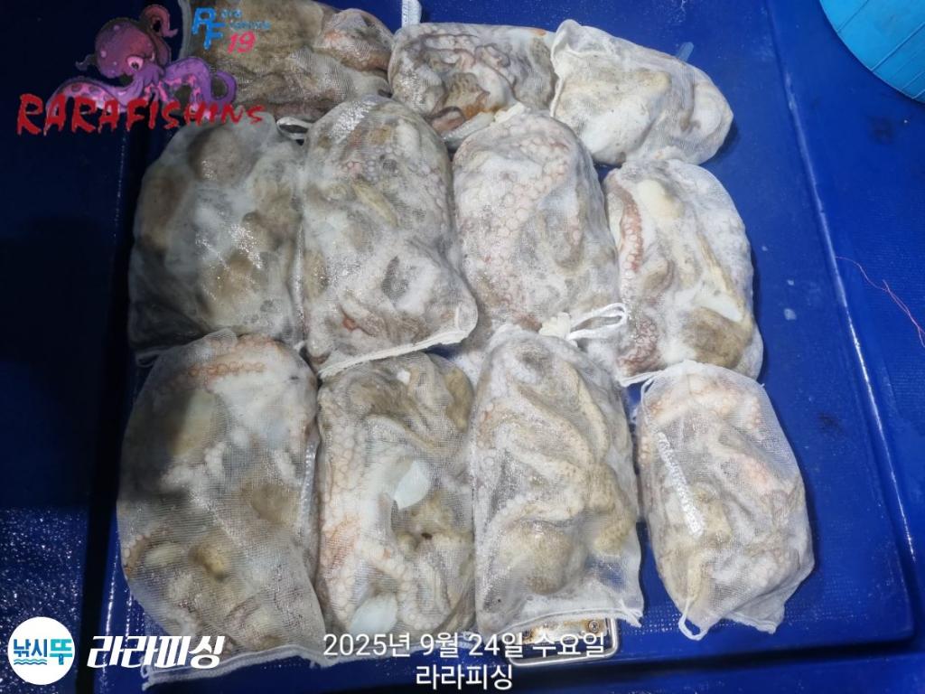 F278423824.jpg
