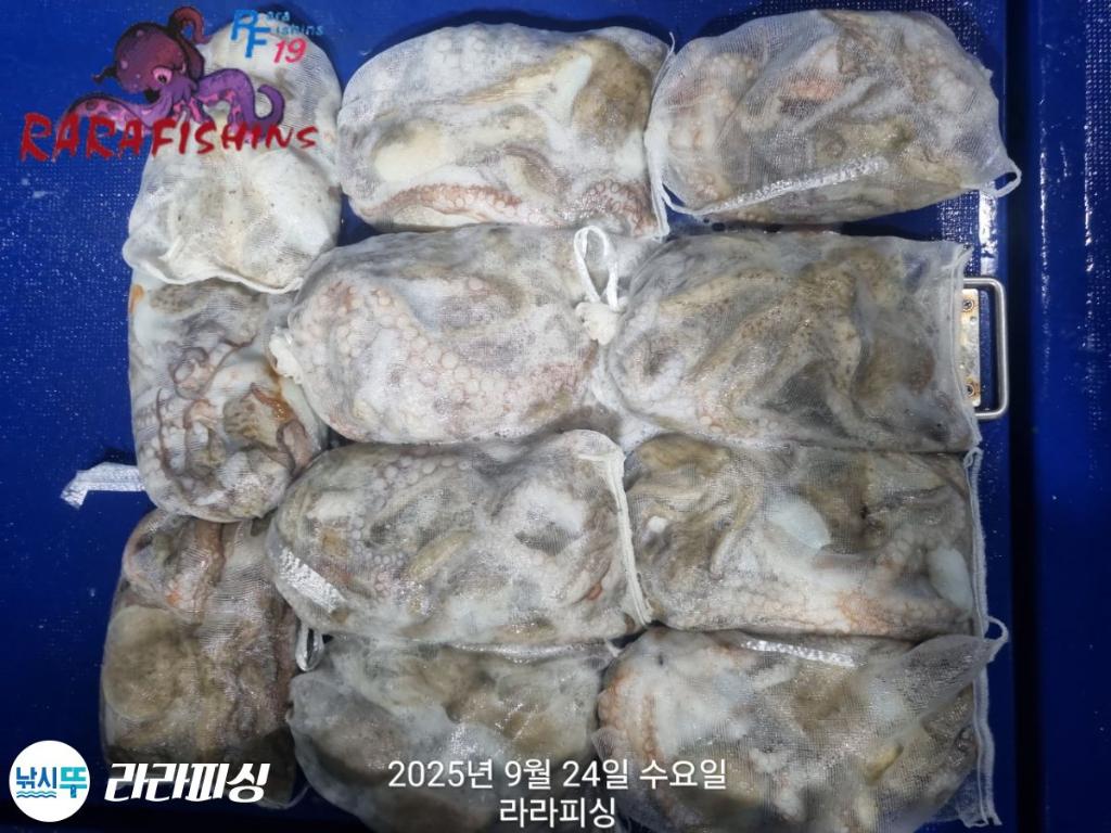 F2784241QC.jpg