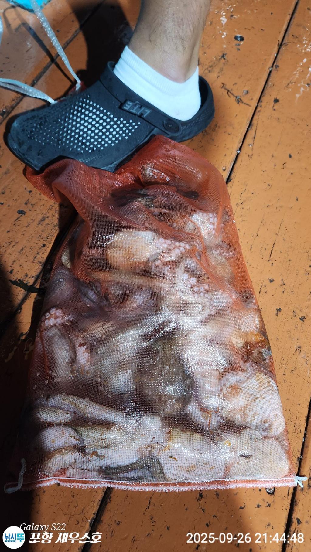 F2784347C5.jpg