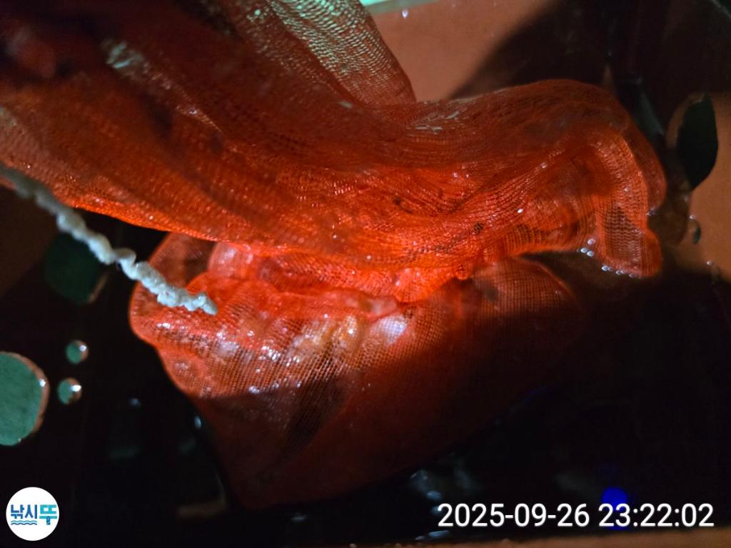 F2784389VI.jpg