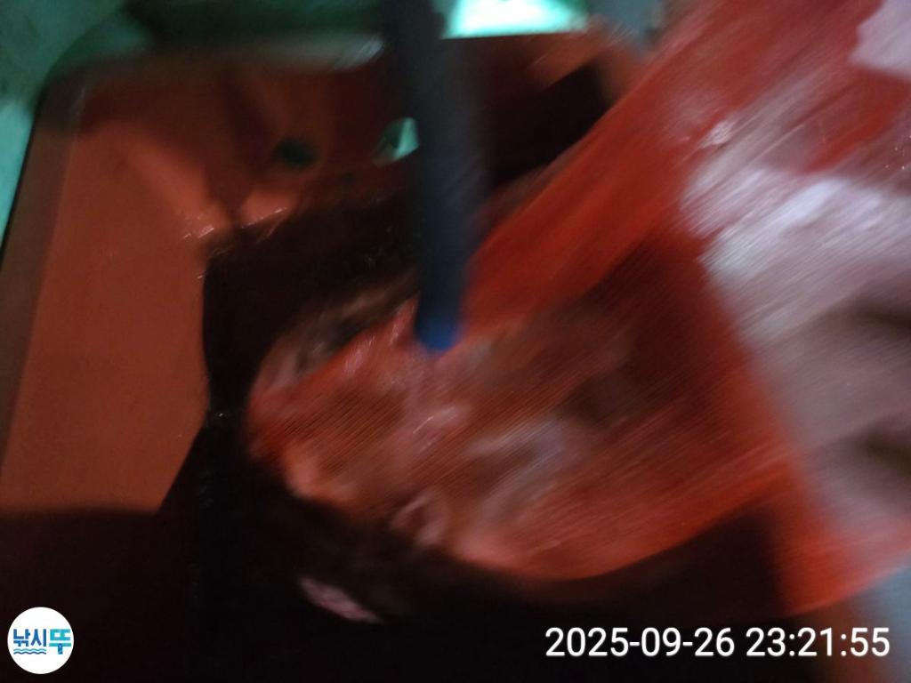 F2784392XE.jpg