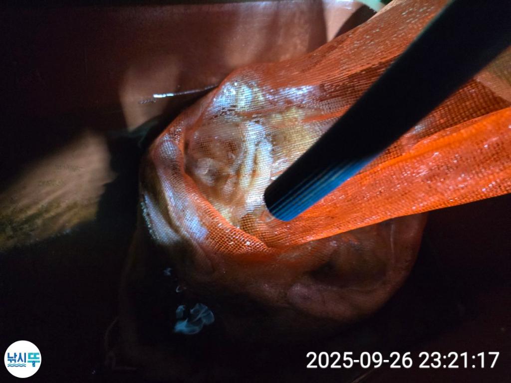F2784399AB.jpg