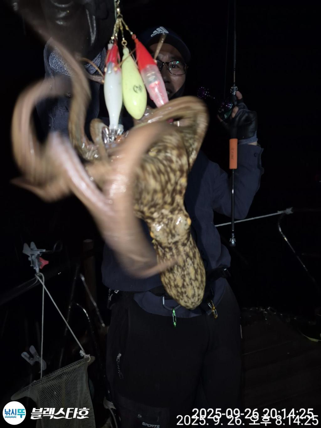 F2784527WQ.jpg