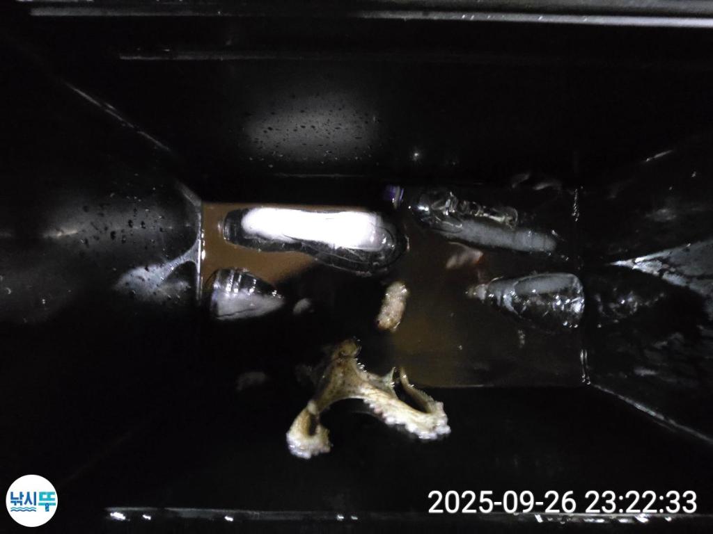 F2784600O1.jpg