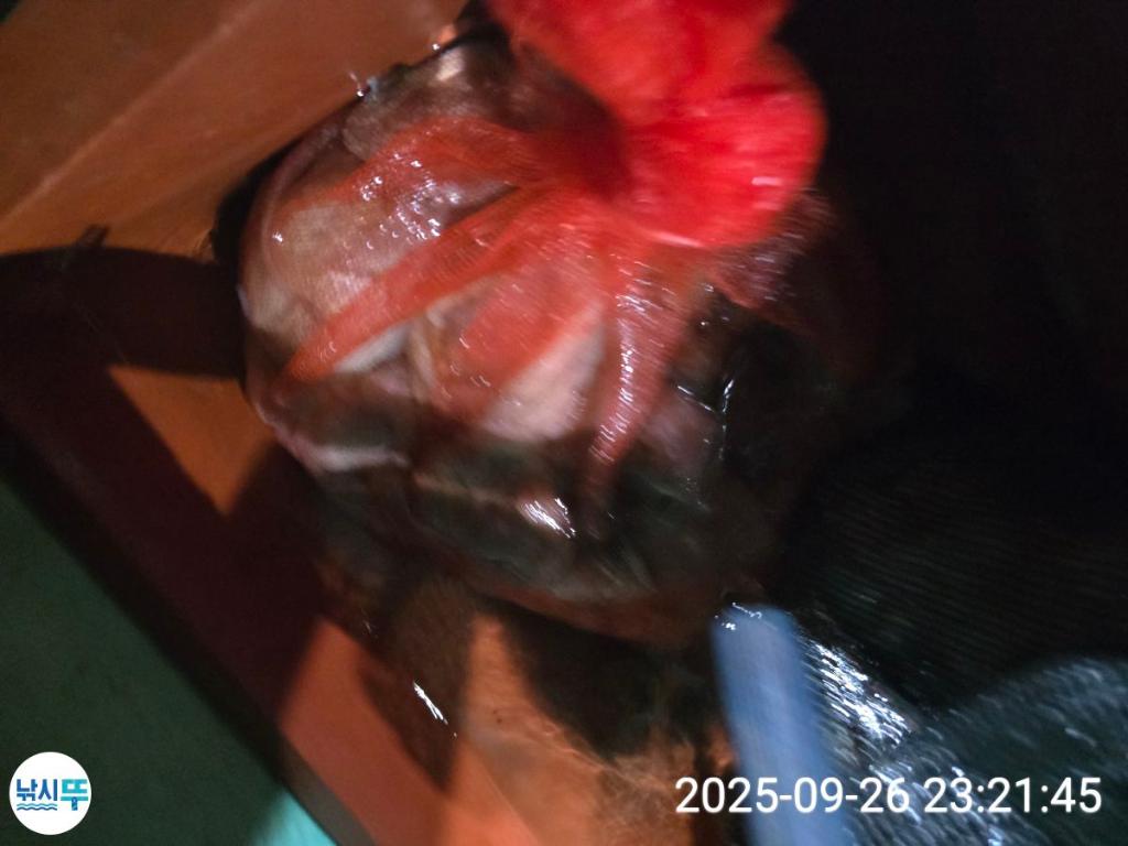F2784608EL.jpg