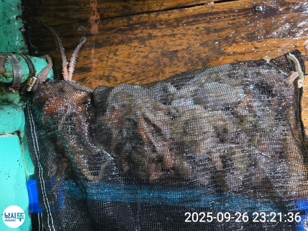 F2784611CQ.jpg
