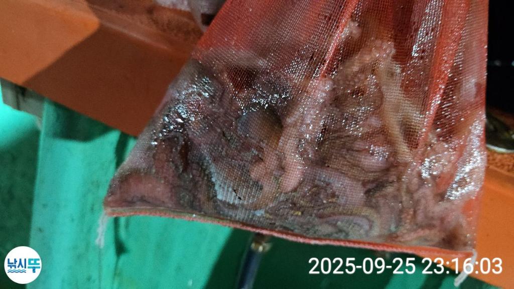F2784645J0.jpg