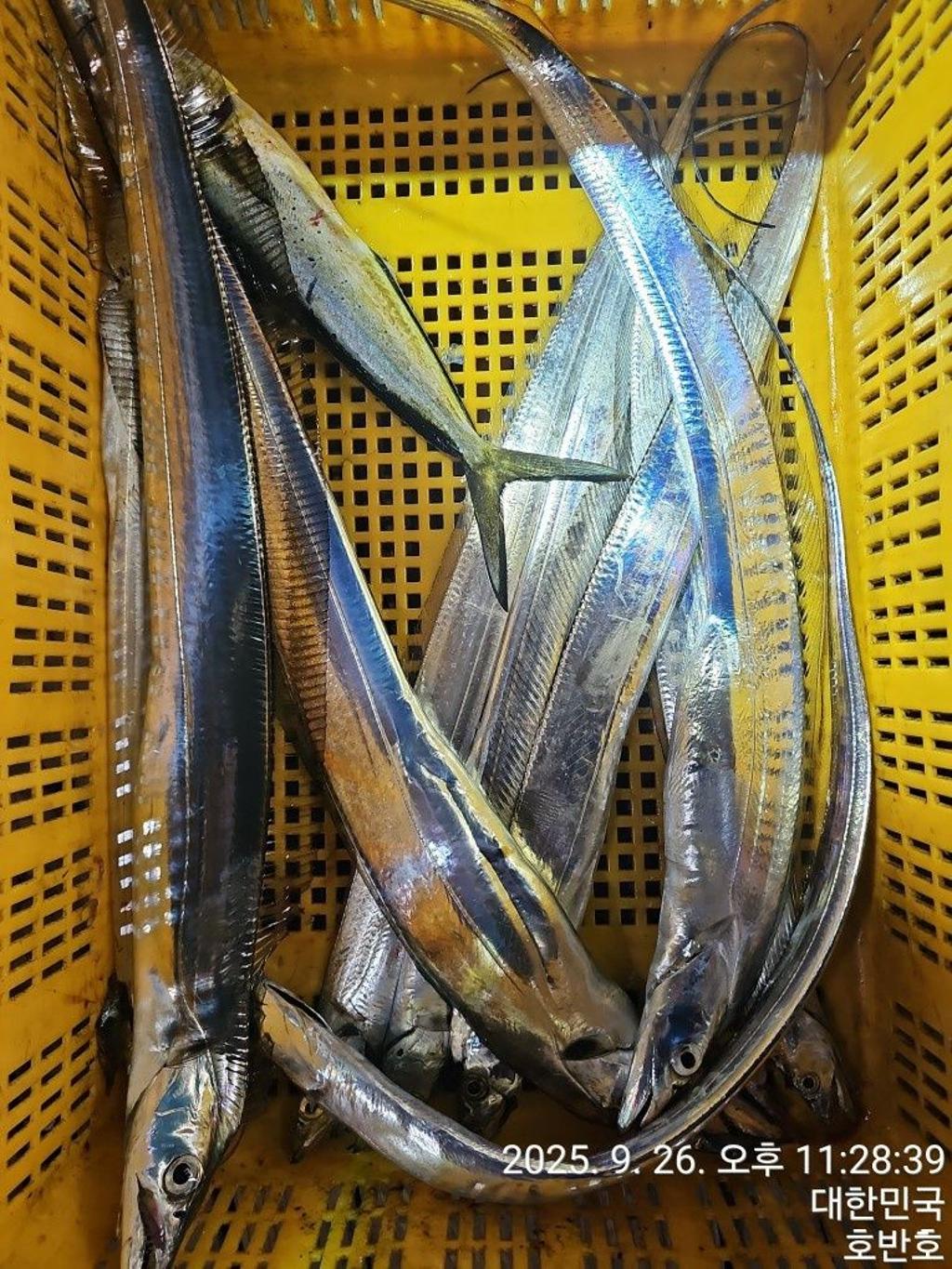 F2784676XQ.jpg