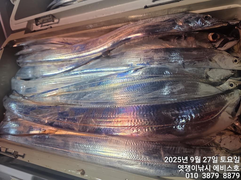 F278478512.jpg