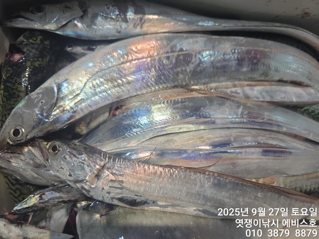 F278478918.jpg