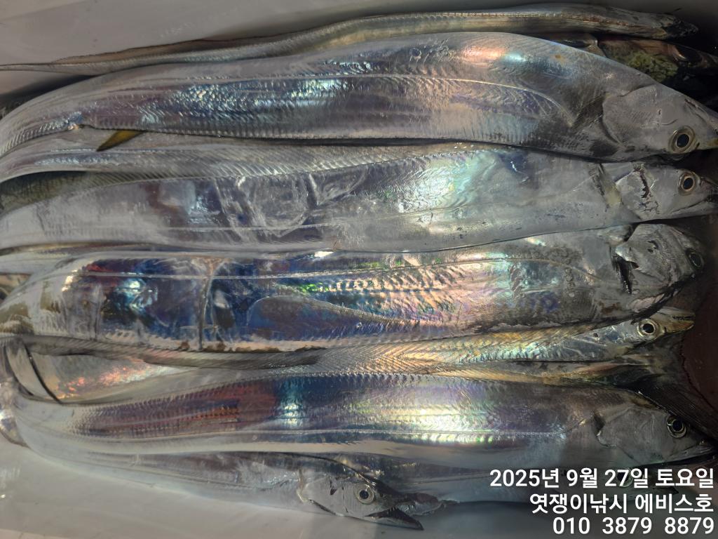 F27847927V.jpg