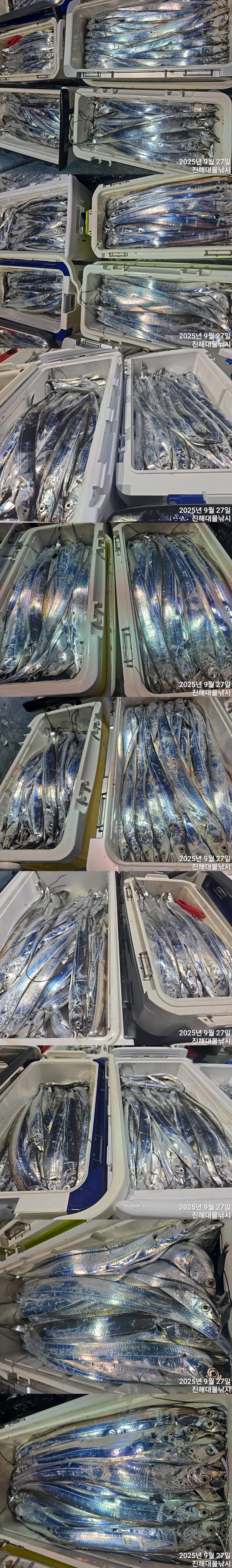 F2784845FM.jpg