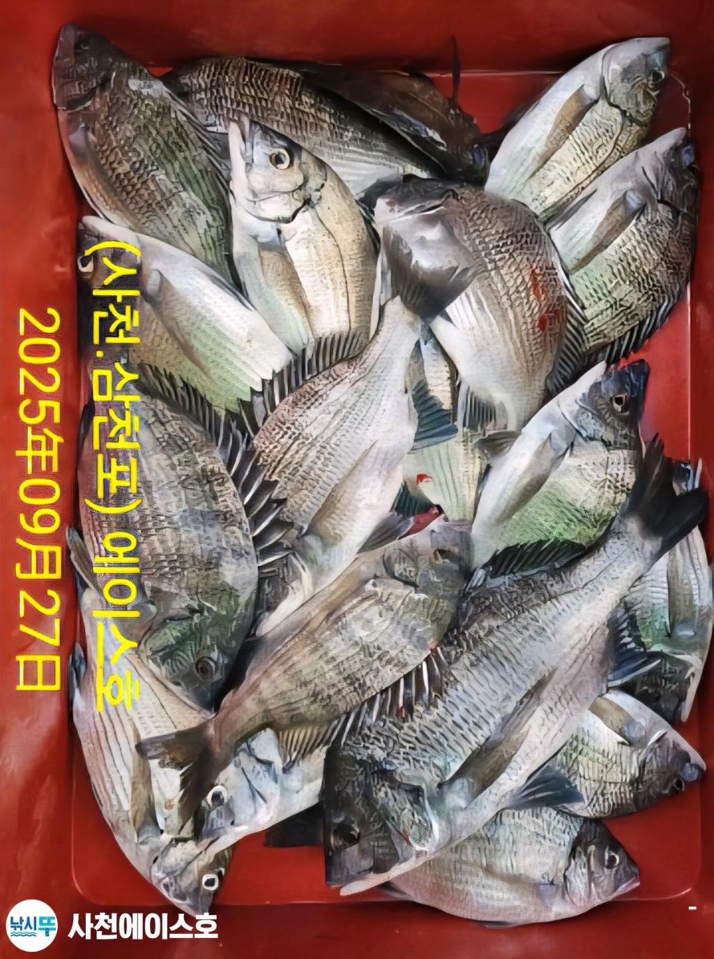 F278486813.jpg