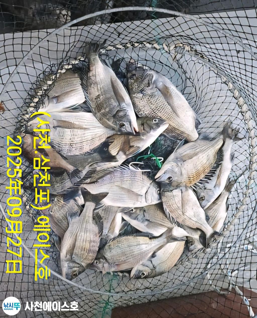 F2784869EK.jpg
