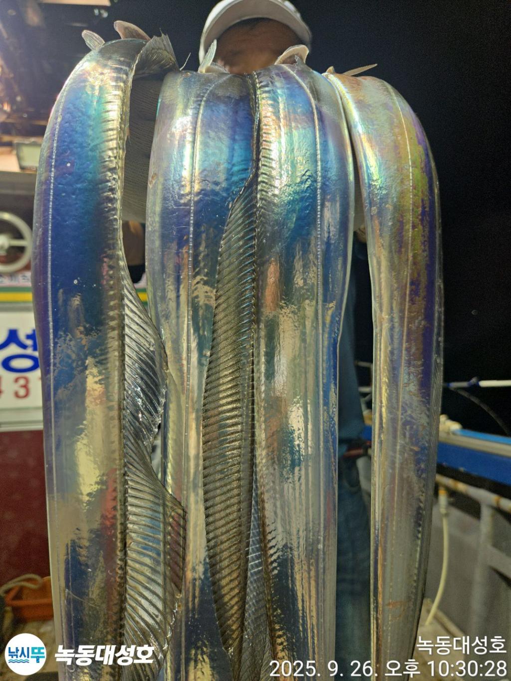 F27848976R.jpg