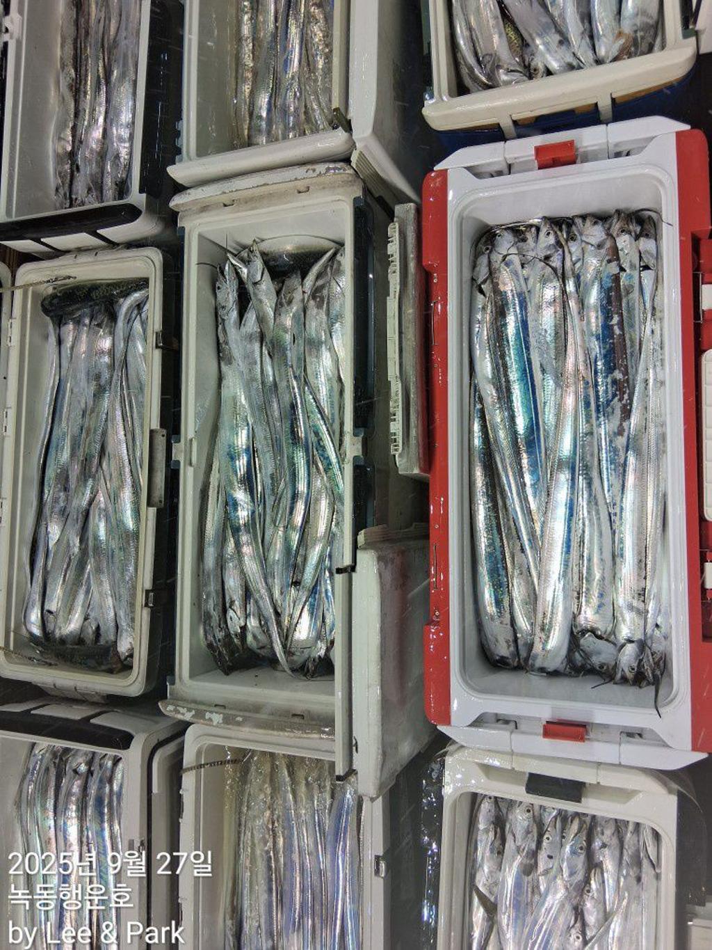 F2784903P9.jpg