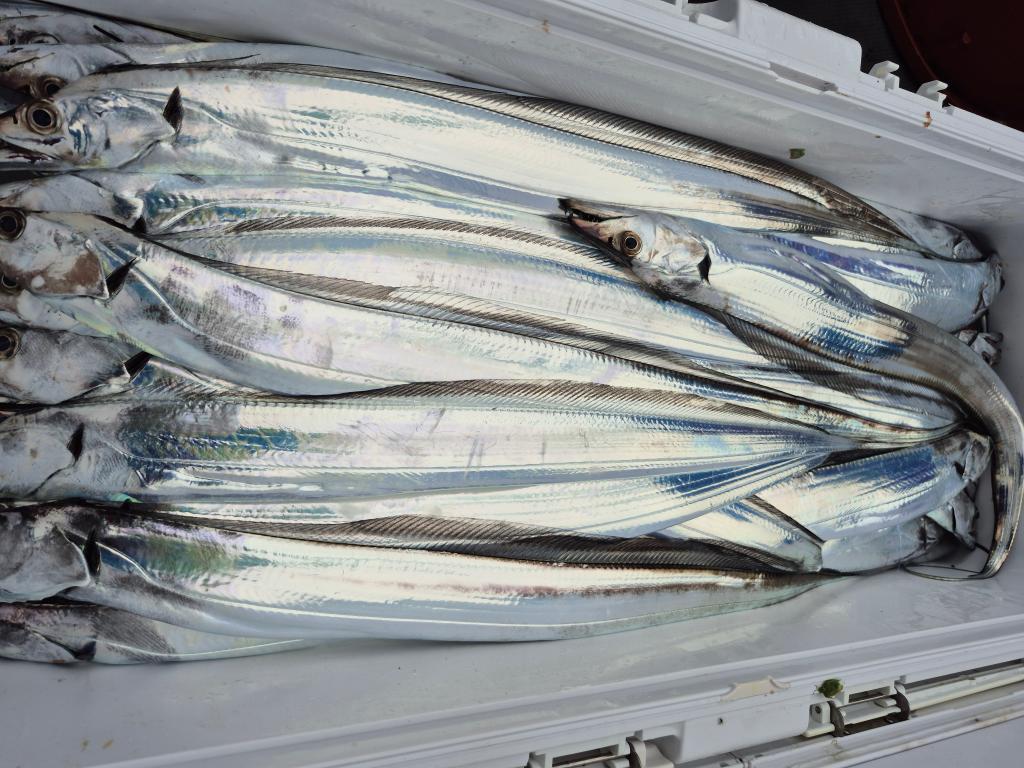 F278498228.jpg