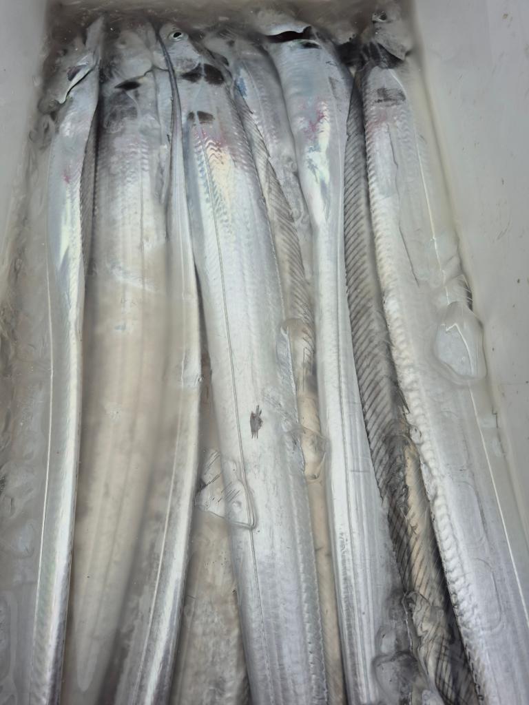 F2784985CI.jpg