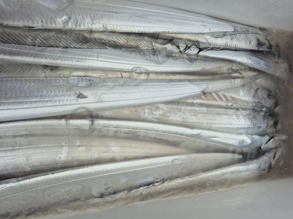 F278498675.jpg