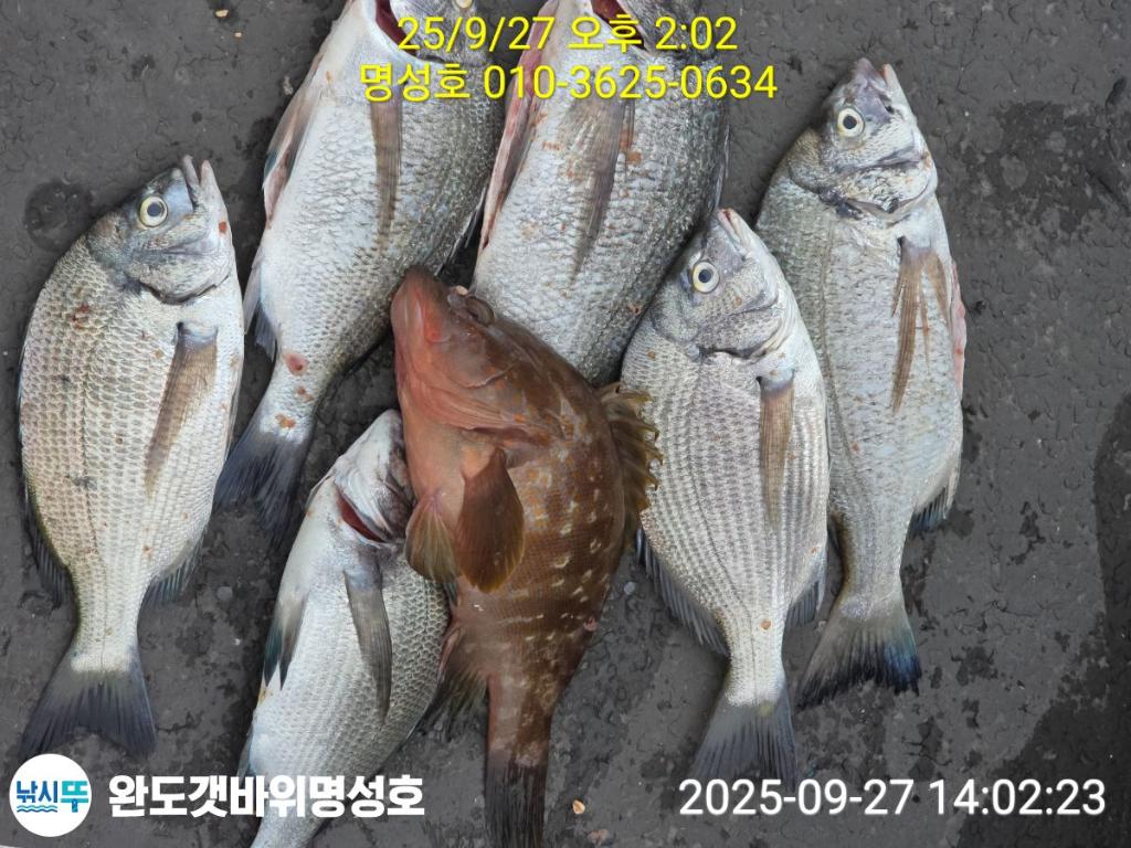 F278500416.jpg