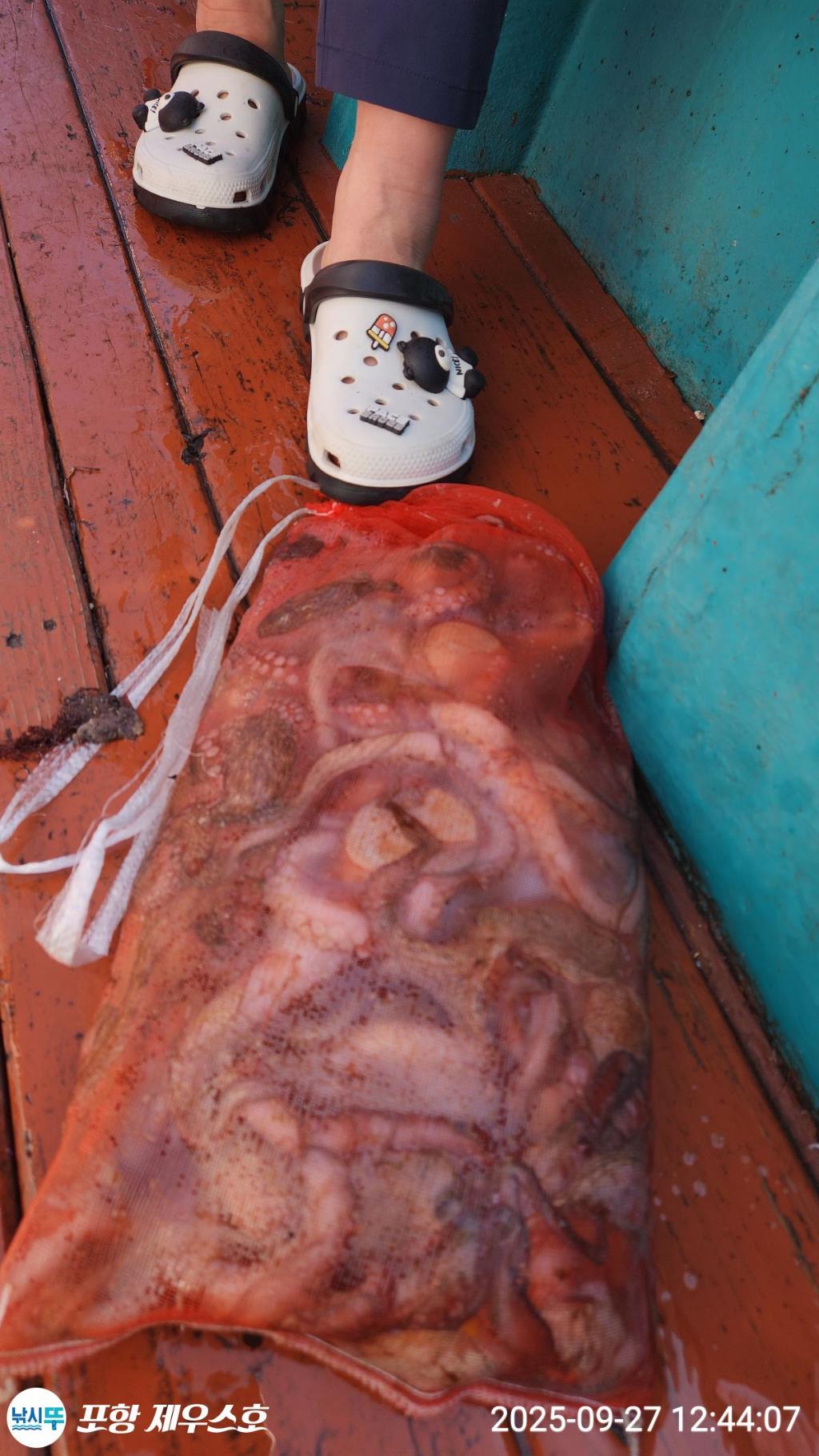 F2785039FP.jpg