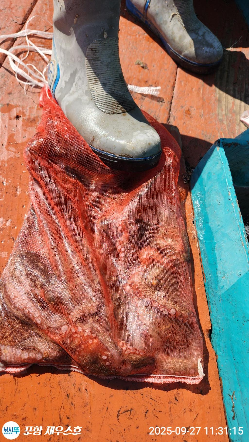 F2785050WS.jpg