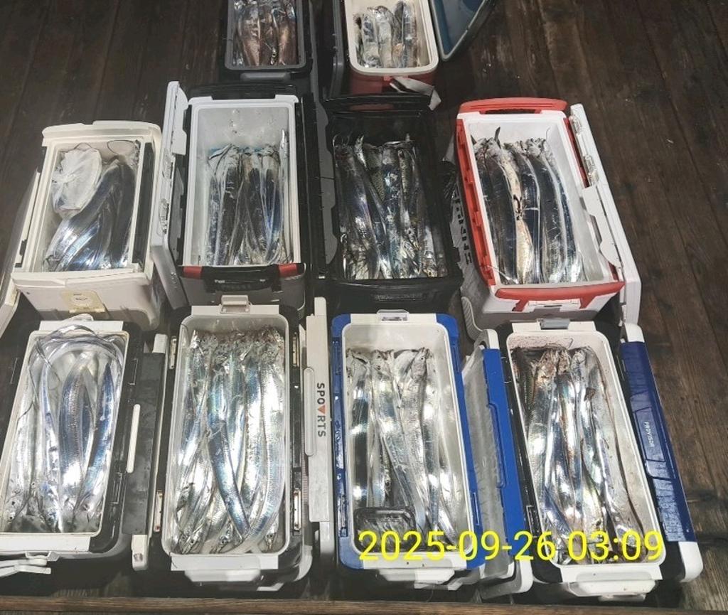 갈치, 삼포대교낚시, 낚시뚜