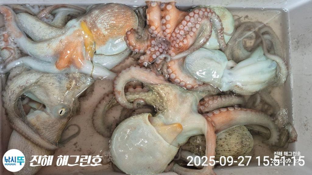 F2785180YS.jpg