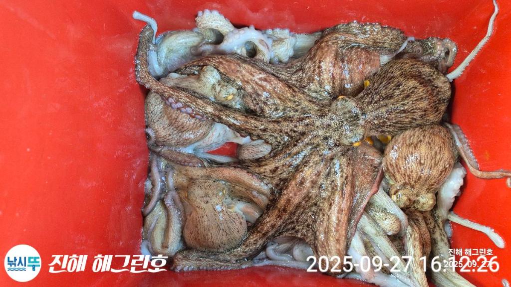 F2785183UC.jpg
