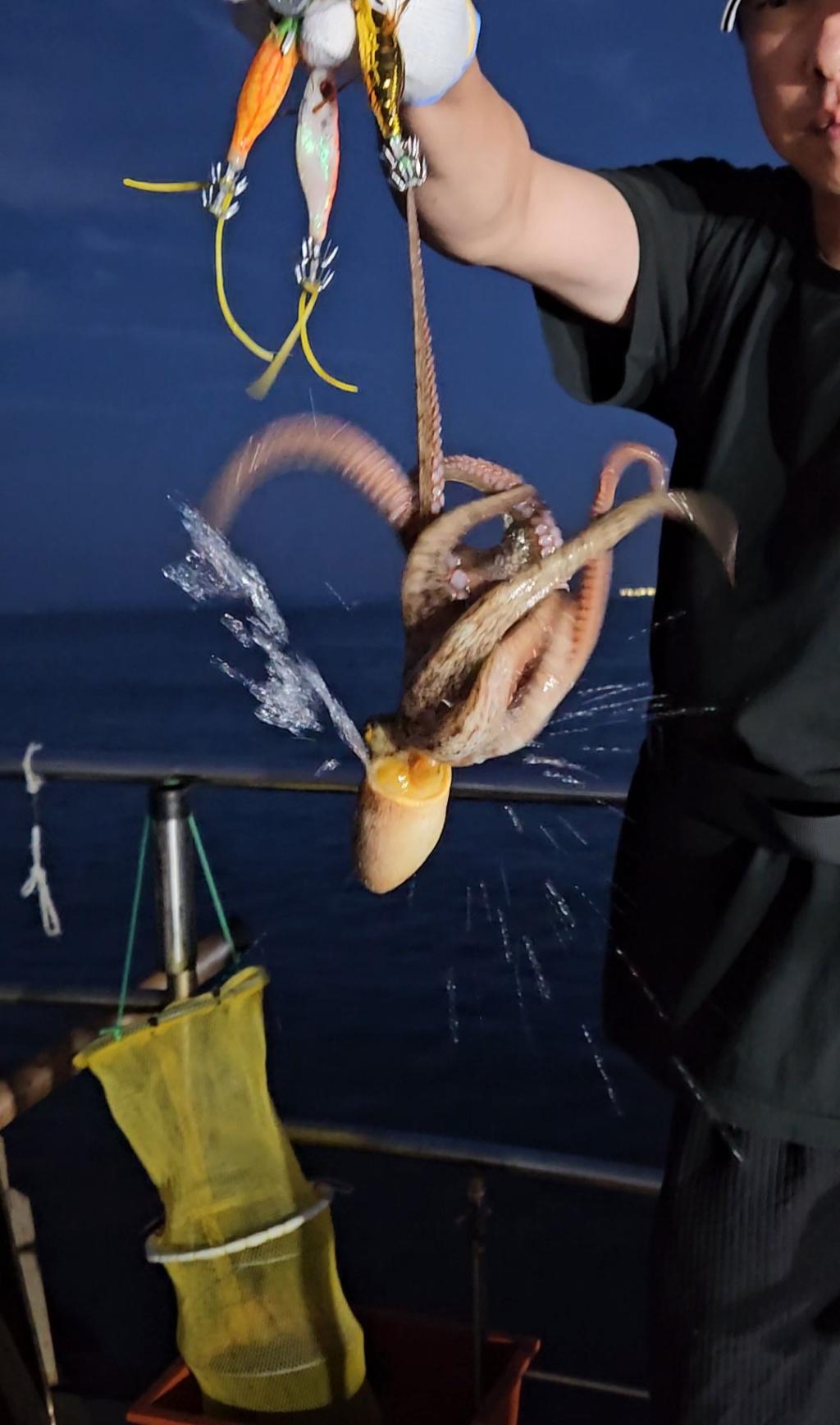 F2785231LQ.jpg