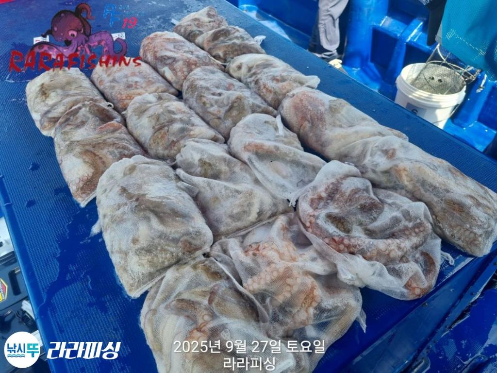 F27852604E.jpg