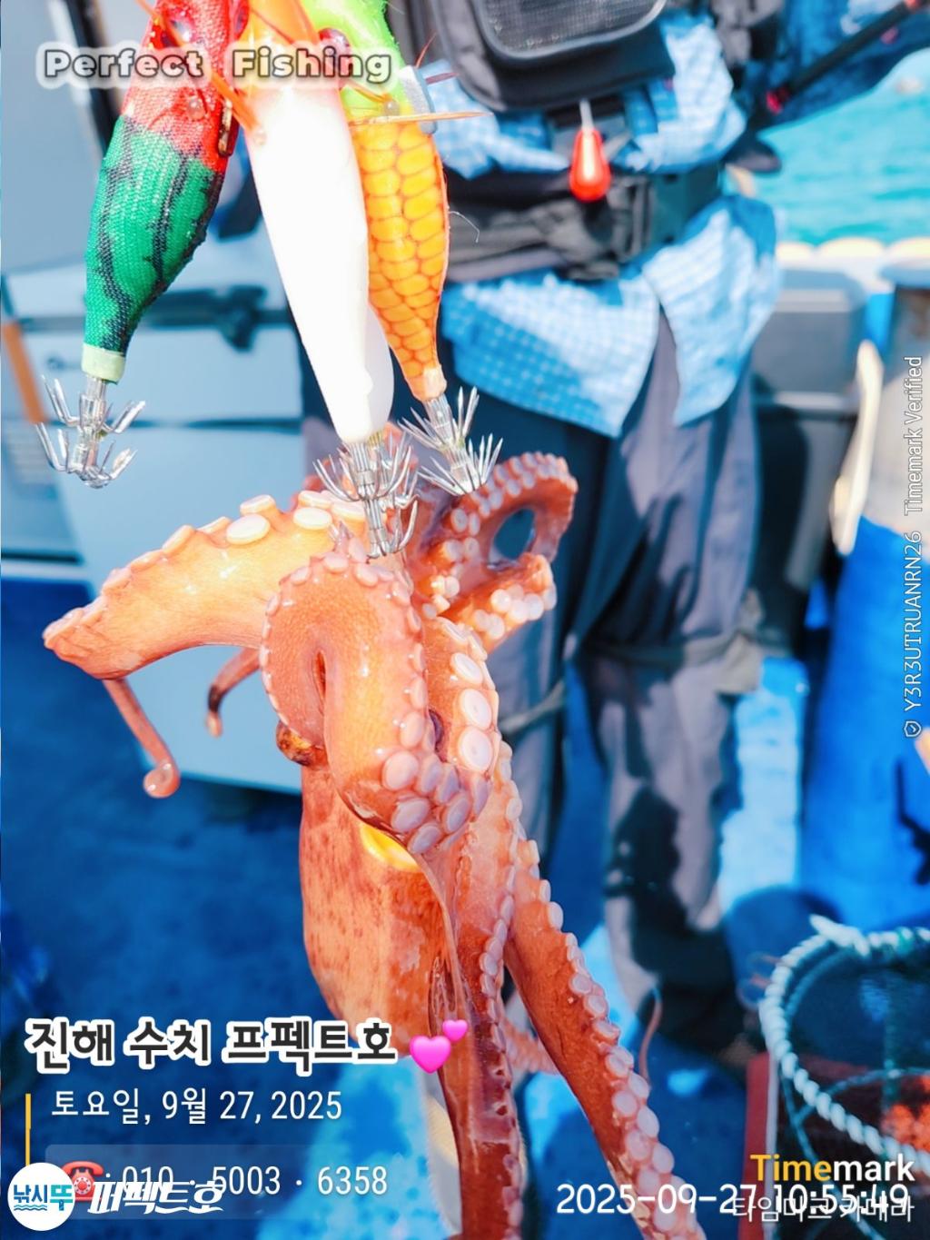 F2785303JG.jpg