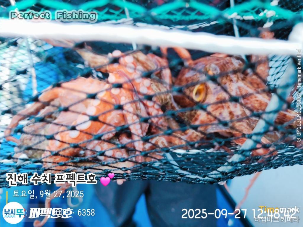 F2785310TZ.jpg