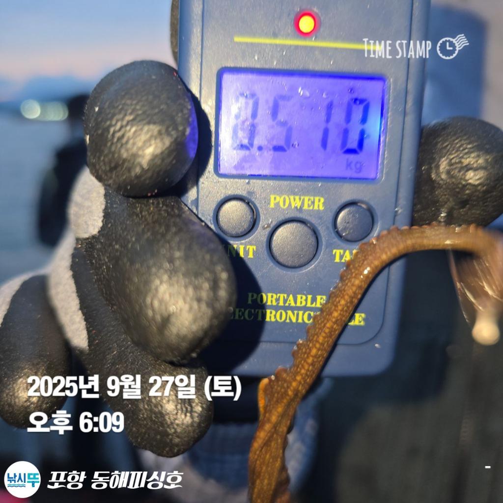 F2785321Y2.jpg