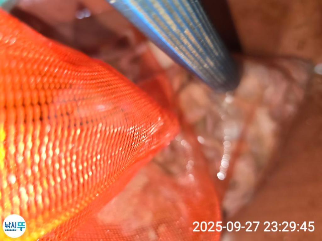 F278534218.jpg
