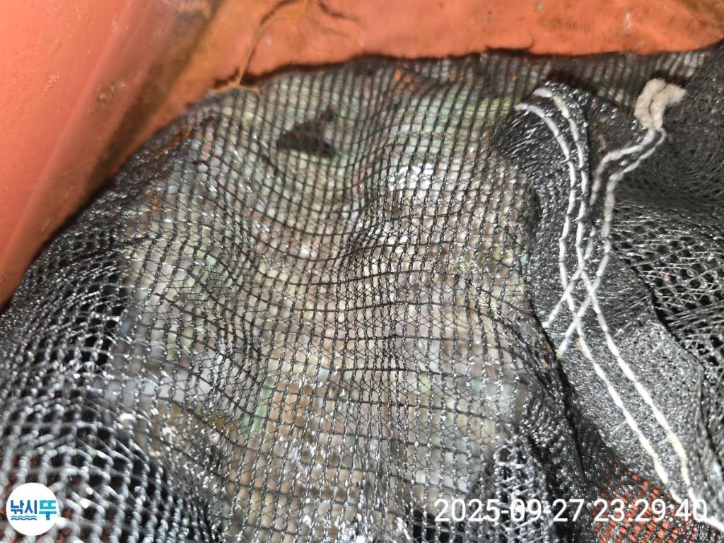 F2785343QV.jpg