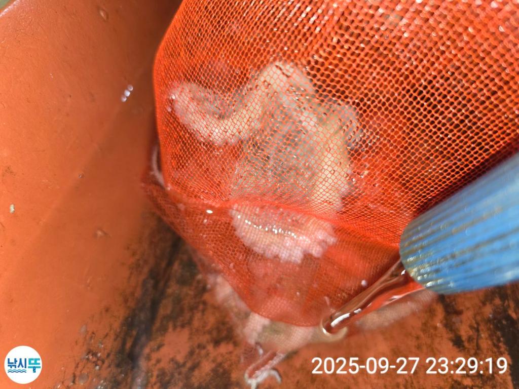F278534438.jpg
