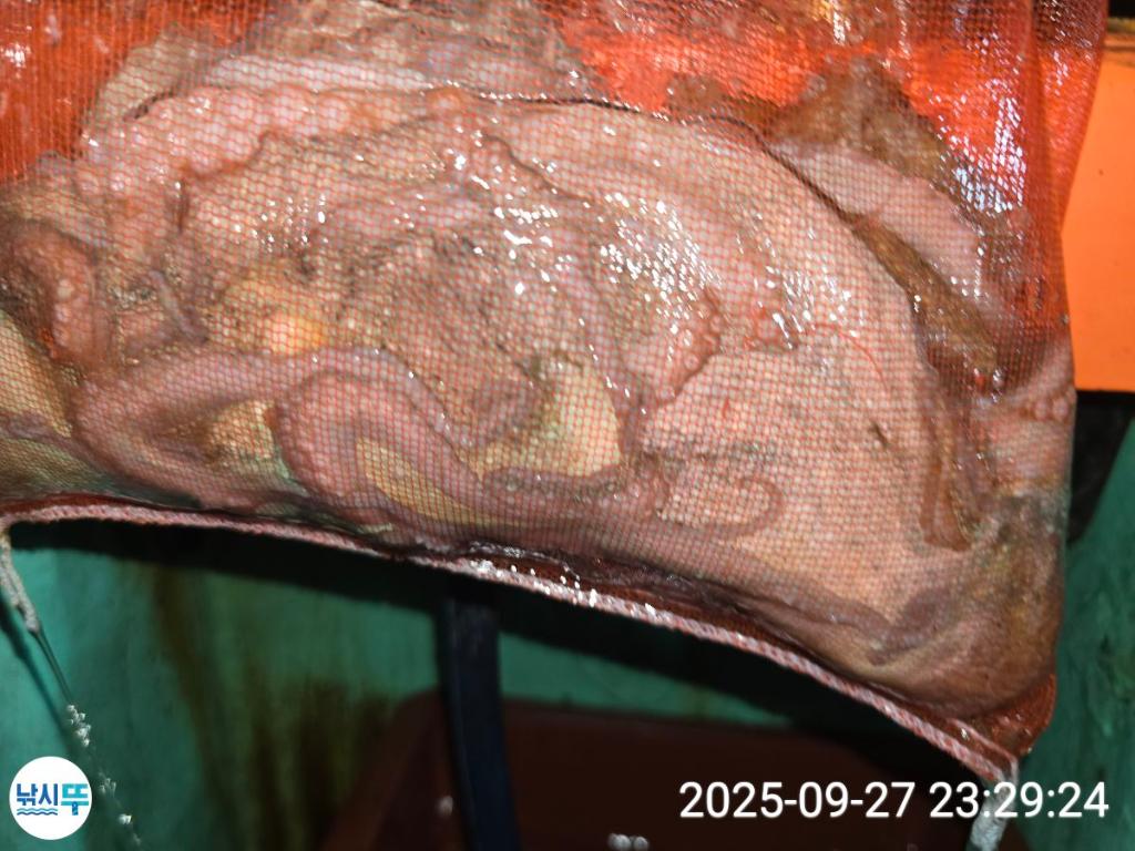F27853454I.jpg
