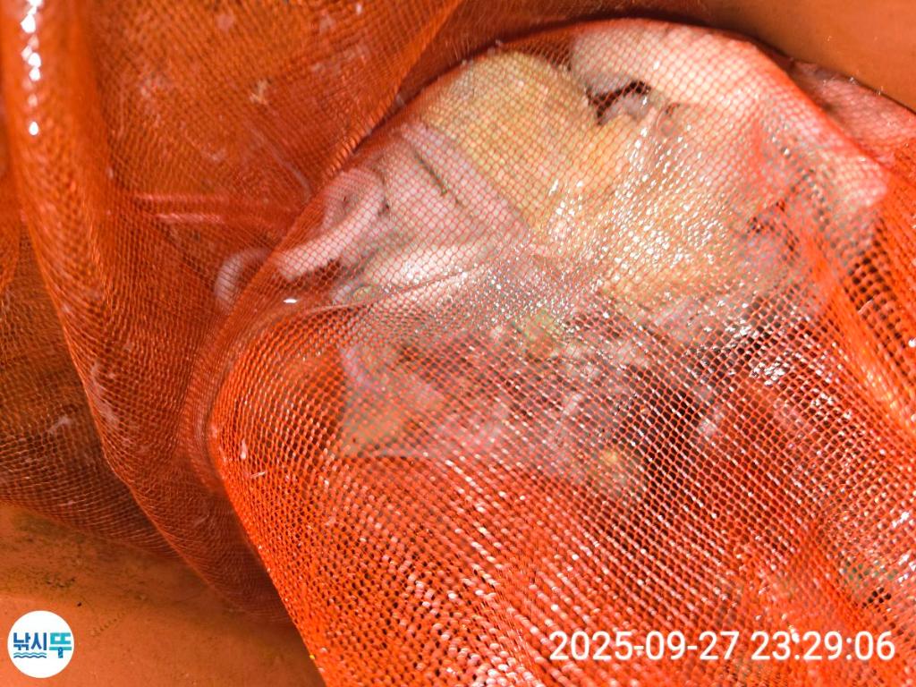 F27853483O.jpg