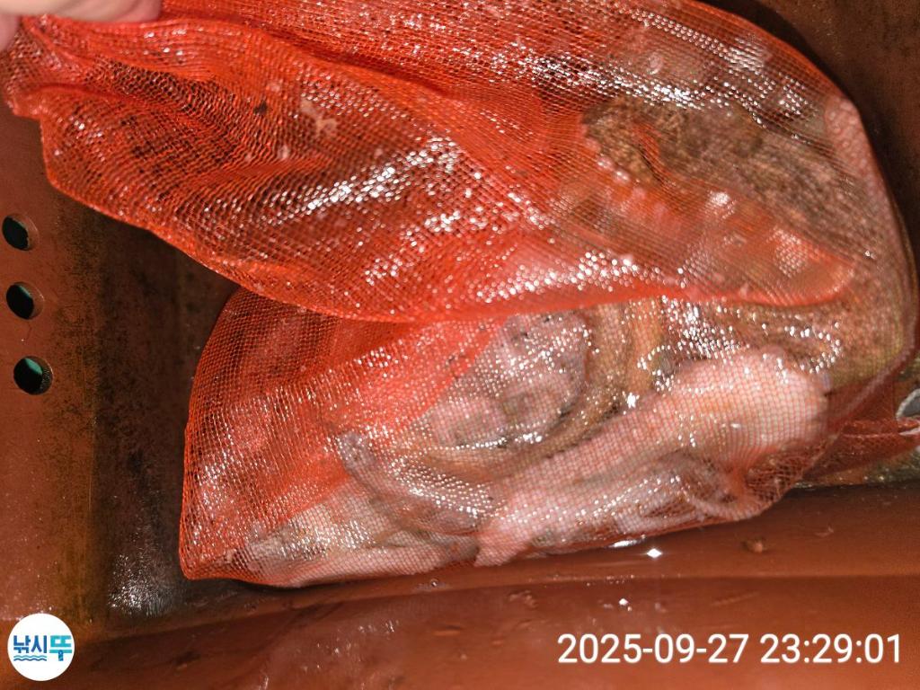 F2785349AY.jpg