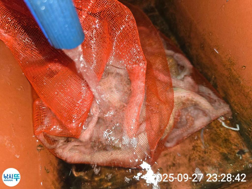 F2785351U9.jpg