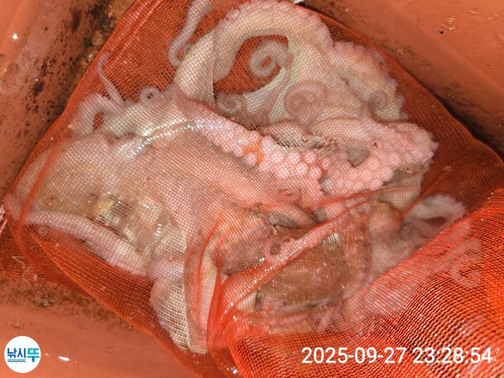 F27853521M.jpg