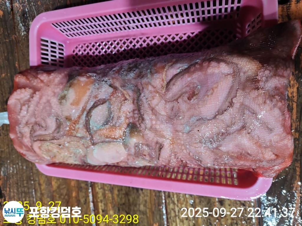 F2785364YZ.jpg