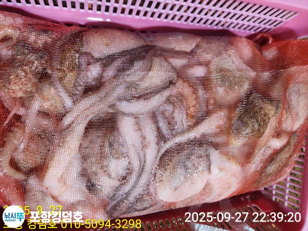 F278536523.jpg